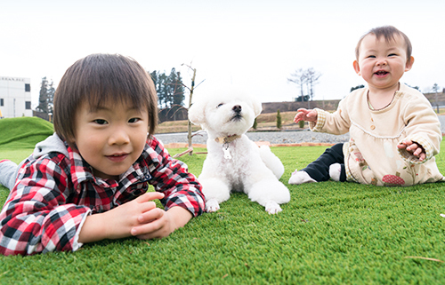 人工芝の上で笑顔の犬と子どもたち