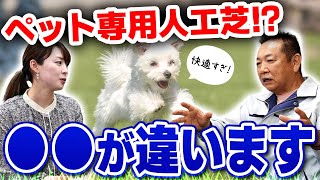 ペット専用人工芝〇〇が違います